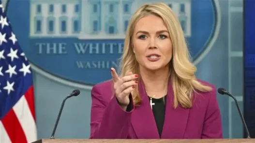 Relative of White House Press Secretary Detained by U.S. Immigration Authorities